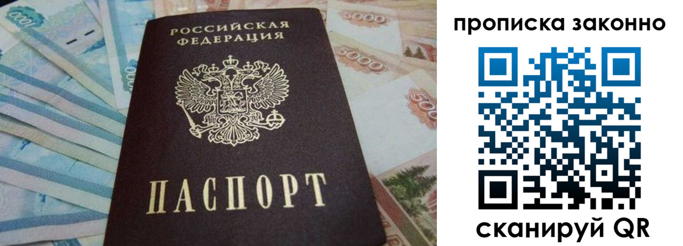 где прописаться в Камышине